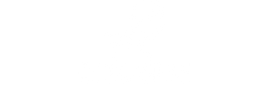 CHIROPSPINE